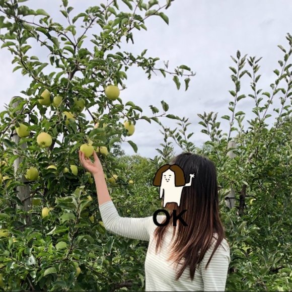 COS Green striped 3/4 length tee - Picture 5 of 5